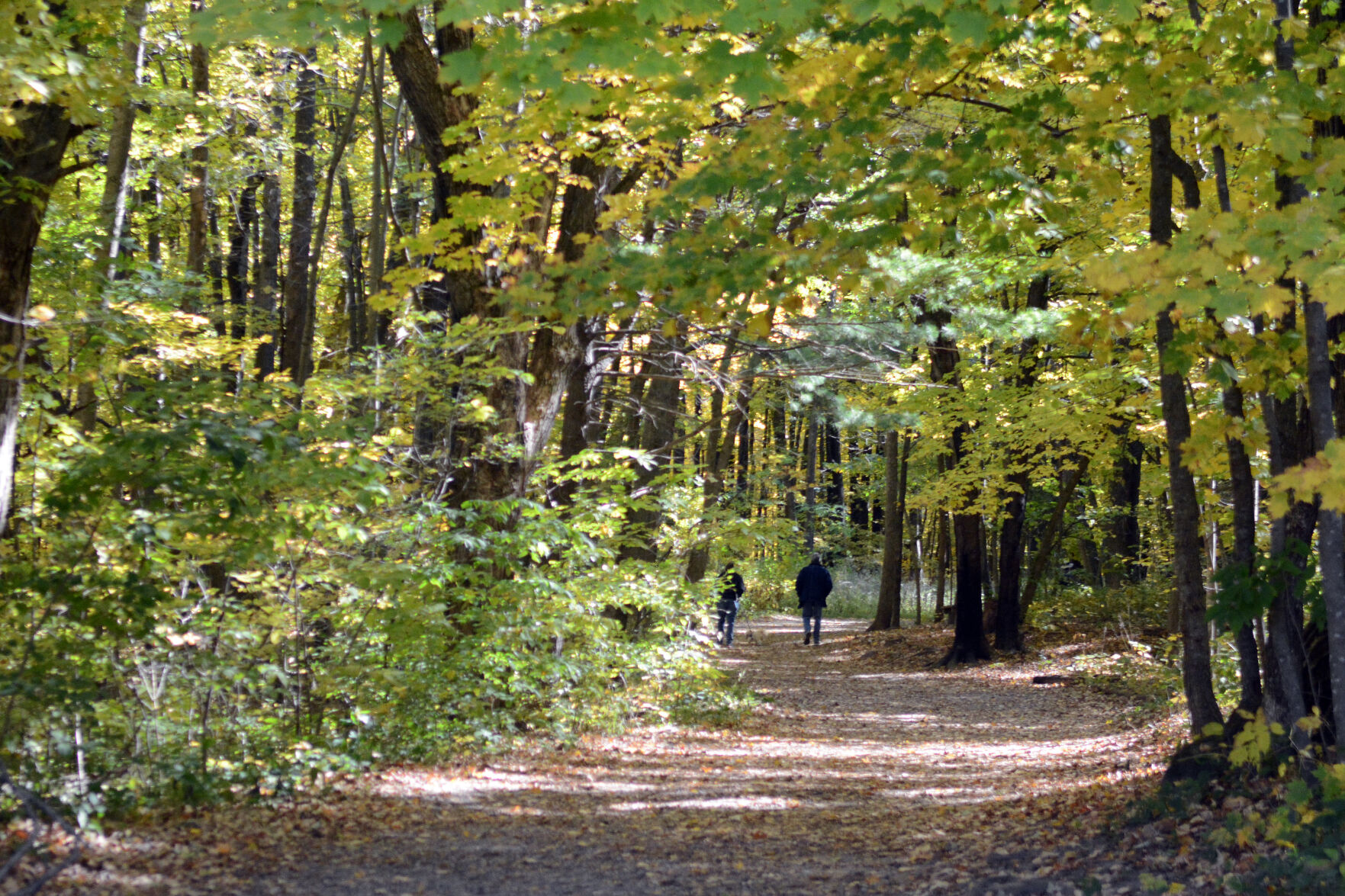Baraboo area fall color, Oct. 8, 2020
